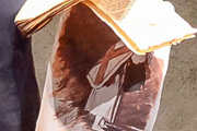 images/album/Yuri/Xuetes15.jpg